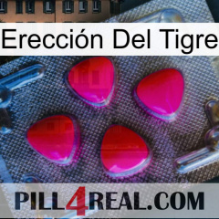 Erección Del Tigre 13